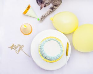 Happy pet