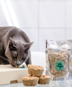 Snack muffins para gatos